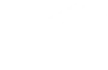 Podcast Advanced Ornament.webp